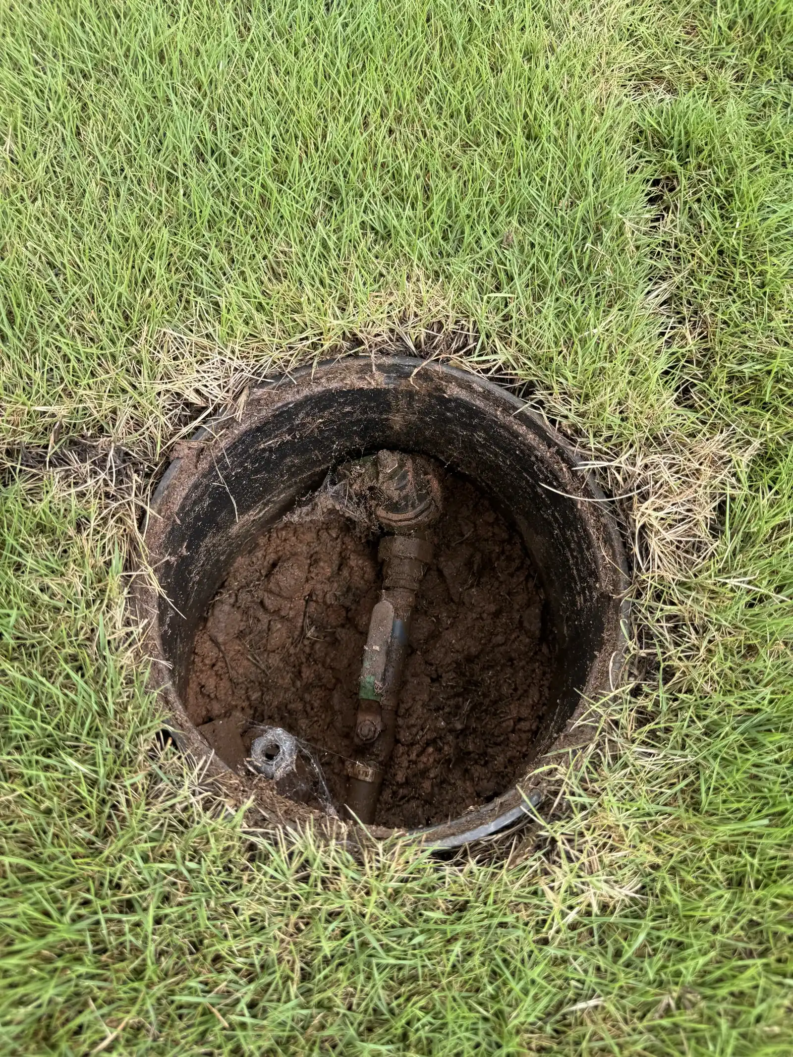 Round in-ground box in a lawn with an irrigation shutoff and backflow pipe assembly