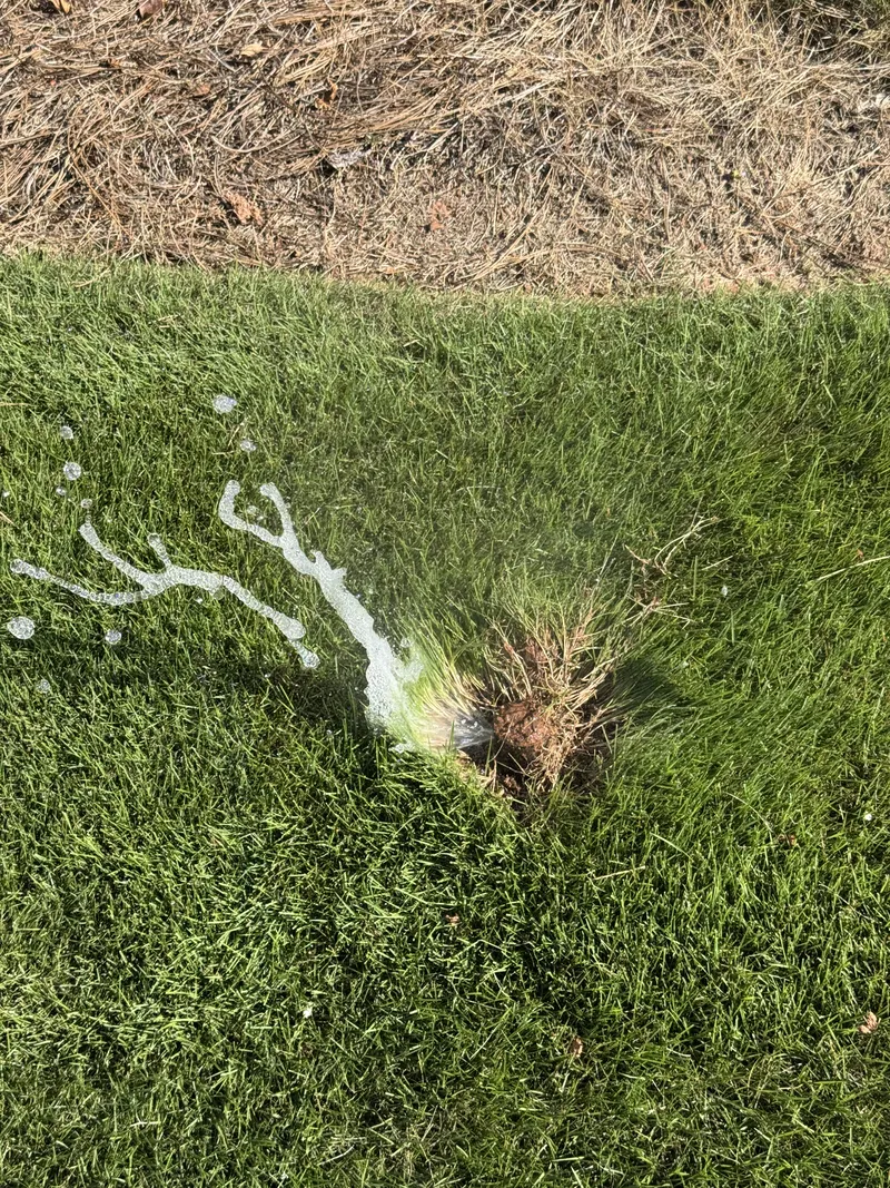 Damaged sprinkler head spraying water sideways across a lawn