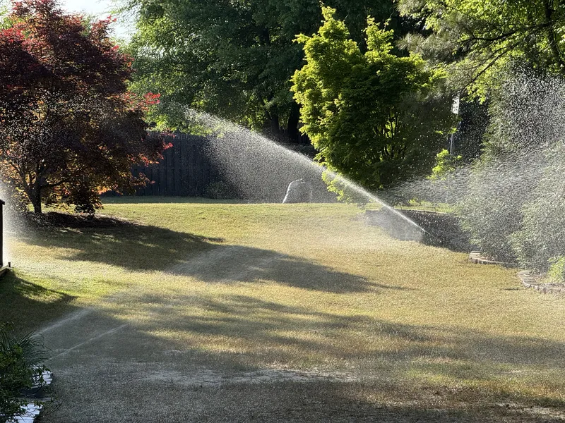 Rotor sprinklers watering a large front lawn next to a red Japanese maple